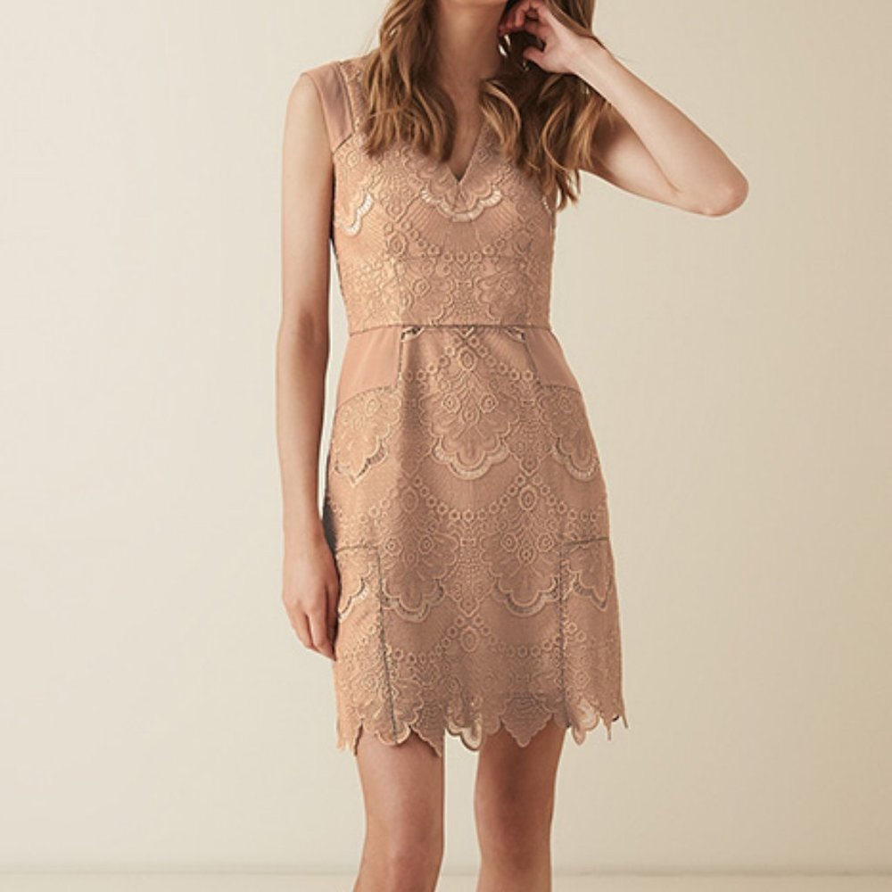 *SOLD* NWT REISS | Gemina Lace Dress - Picture 3 of 8